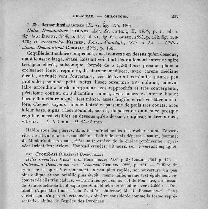 Chilostoma(Corneola)crombezi (LOCARD, 1882) - Mercantour